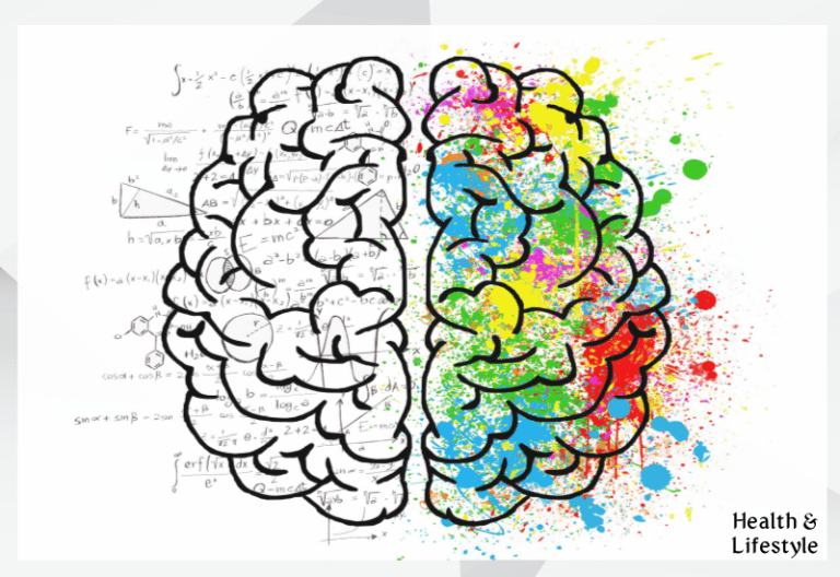 뇌건강에 도움되는 6가지 식품